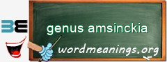 WordMeaning blackboard for genus amsinckia